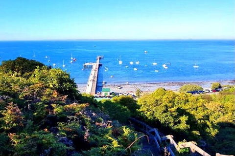 Mornington Peninsula Sightseeing Tour For 2-6 Guests. - Tourism Noosa 1
