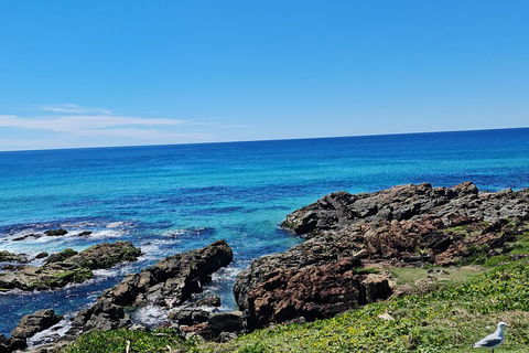 Private Custom Byron Bay Day Out - Tourism Noosa 4
