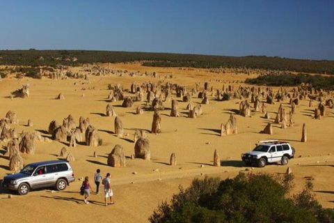 1-Day Pinnacles And Yanchep Tour From Perth Including Fish And Chips Lunch - Tourism Noosa 0
