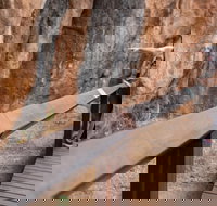 Chillagoe Caves and Outback Day Trip from Cairns - Tourism Noosa