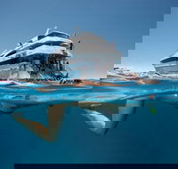 3 Day Great Barrier Reef Daintree Rainforest and Outback Chillagoe Tour - Tourism Noosa