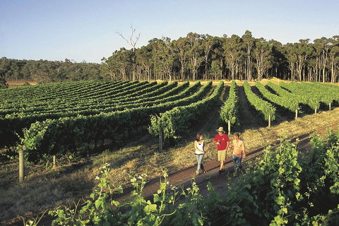 Margaret River, Caves, Wine And Cape Leeuwin Lighthouse Tour From Perth - Tourism Noosa 1