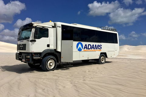 Pinnacles Desert, Koalas And Sandboarding 4WD Day Tour From Perth - Tourism Noosa 2