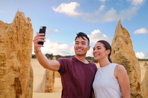 Pinnacles Desert, Koalas And Sandboarding 4WD Day Tour From Perth - Tourism Noosa 4