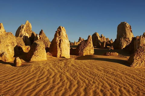 Full Day Pinnacle Desert Explorer From Perth Including Hillarys And Lancelin Sandboarding - Tourism Noosa 3