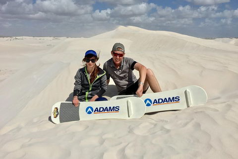 Full Day Pinnacle Desert Explorer From Perth Including Hillarys And Lancelin Sandboarding - Tourism Noosa 4