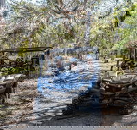 Small-Group Buggy Tour at Little Sahara with Guide - Tourism Noosa