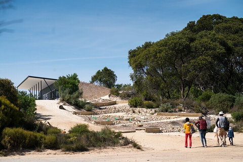 2-Hour Koala Walking Tour In Kangaroo Island - Tourism Noosa 3