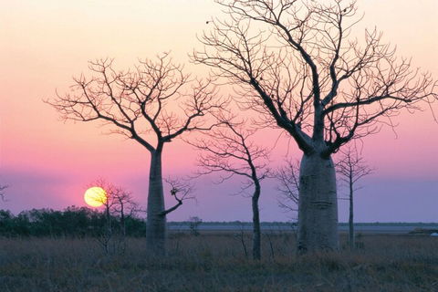 8-Day Outback Experience From Queensland - Tourism Noosa 5