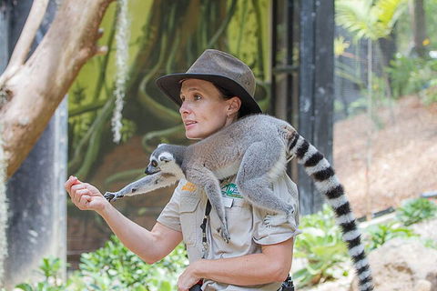 Currumbin Wildlife Sanctuary General Entry Ticket - Tourism Noosa 1