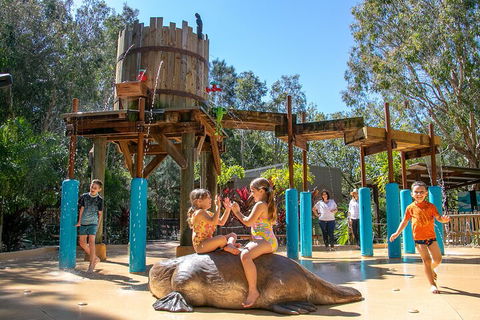 Currumbin Wildlife Sanctuary General Entry Ticket - Tourism Noosa 5