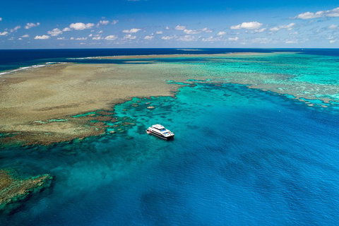 Calypso Outer Great Barrier Reef Cruise From Port Douglas - Tourism Noosa 1