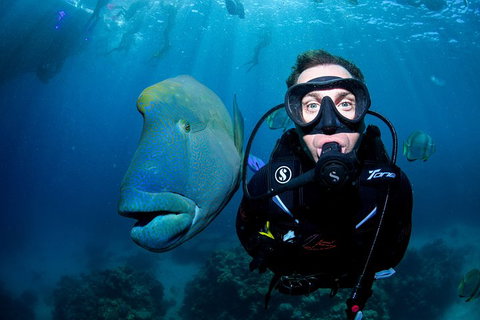 Full Day Reef Cruise Including 10 Minute Heli Scenic Flight: Get High Package - Tourism Noosa 1