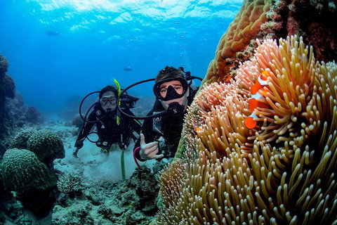 Full Day Reef Cruise Including 10 Minute Heli Scenic Flight: Get High Package - Tourism Noosa 5