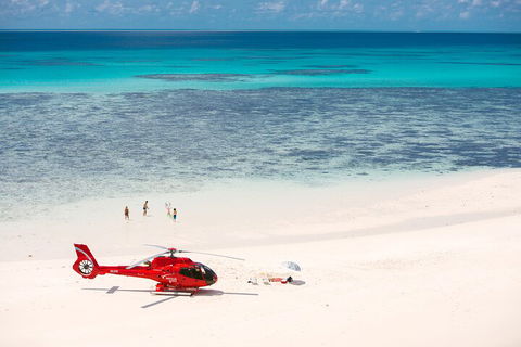 Private Helicopter Tour: Reef Island Snorkeling And Gourmet Picnic Lunch - Tourism Noosa 2