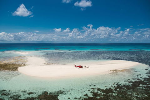 Private Helicopter Tour: Reef Island Snorkeling And Gourmet Picnic Lunch - Tourism Noosa 4