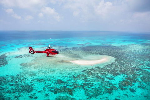 Private Helicopter Tour: Reef Island Snorkeling And Gourmet Picnic Lunch - Tourism Noosa 5