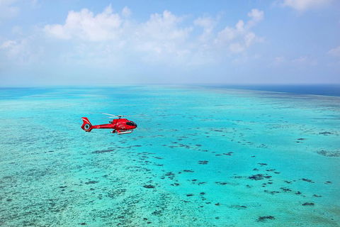 Port Douglas Scenic Flights - Tourism Noosa 0