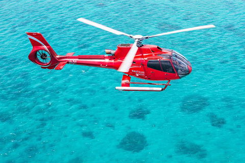 Port Douglas Scenic Flights - Tourism Noosa 2