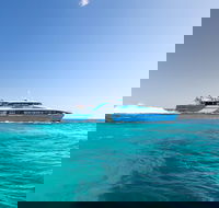 Fremantle to Rottnest Island Roundtrip Ferry Ticket - Tourism Noosa