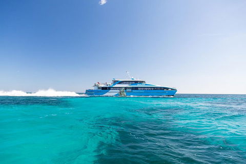 Fremantle To Rottnest Island Roundtrip Ferry Ticket - Tourism Noosa 0