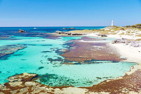 Rottnest Island Bike, Snorkel & Ferry Package From Fremantle - Tourism Noosa 4