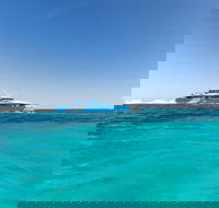 Rottnest Island Bayseeker Day Trip from Perth - Tourism Noosa