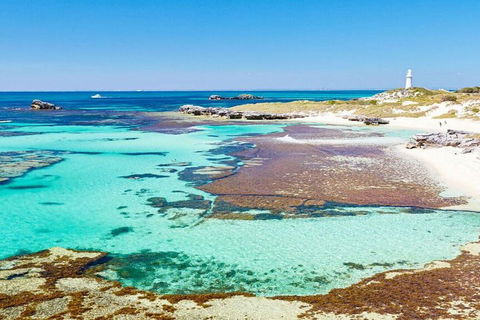 Rottnest Island Bayseeker Day Trip From Perth - Tourism Noosa 4