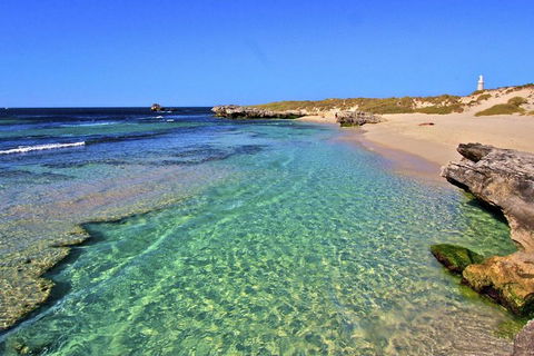 Rottnest Island Bayseeker Day Trip From Perth - Tourism Noosa 5