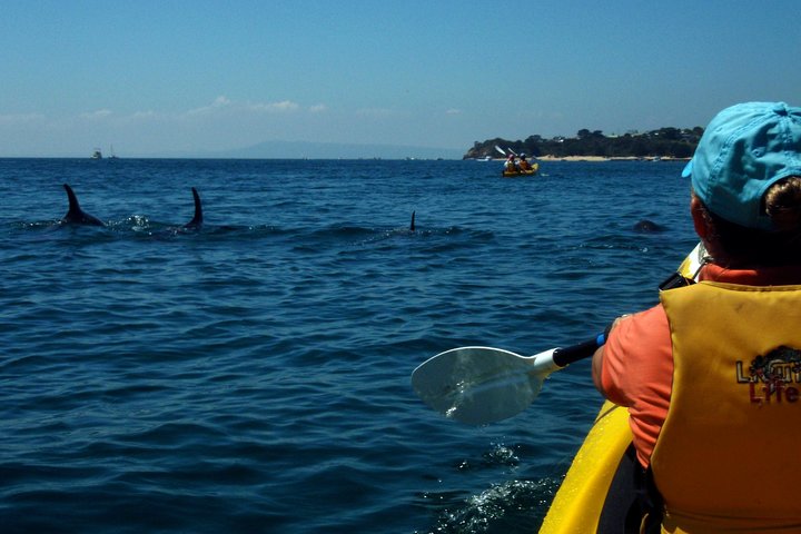  Tourism Noosa