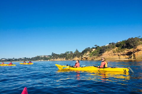Mornington Peninsula Kayak Coastline Tour Of Dolphin Sanctuary - Tourism Noosa 1
