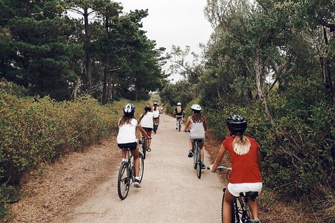 Self-Guided Point Nepean National Park Bike Hire - Tourism Noosa 3