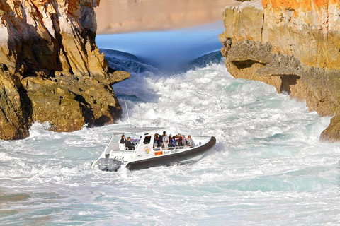 Horizontal Falls Half-Day Tour From Broome - Tourism Noosa 1