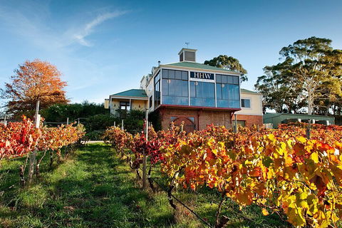 Adelaide Hills Food, Wine, Cheese, & Chocolate - Private Day Tour - Tourism Noosa 3