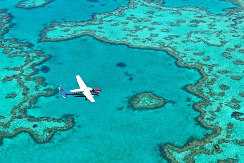 Fly & Sail Package (With Providence) - Tourism Noosa 4