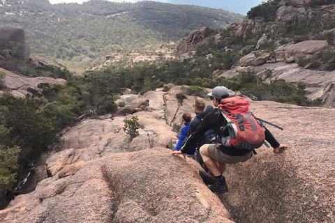 2-Day Tas East Coast Escape Tour Including Bay Of Fires, Wineglass Bay & Devils - Tourism Noosa 2