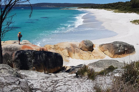 2-Day Tas East Coast Escape Tour Including Bay Of Fires, Wineglass Bay & Devils - Tourism Noosa 4