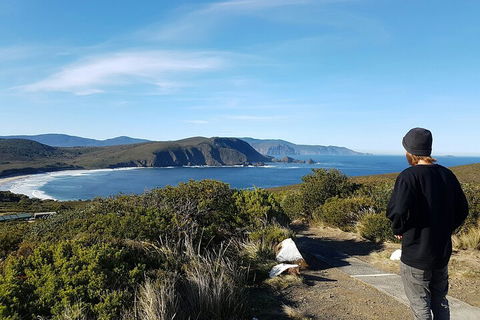 4-Day Fabulous Tasmania Tour: Wineglass Bay, Port Arthur, Devils & Bruny Island - Tourism Noosa 0