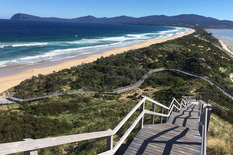4-Day Fabulous Tasmania Tour: Wineglass Bay, Port Arthur, Devils & Bruny Island - Tourism Noosa 5