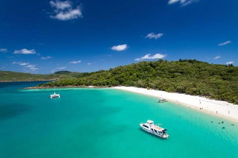 Whitehaven Beach And Hill Inlet | Awesome Beach BBQ | Family Friendly - Tourism Noosa 3