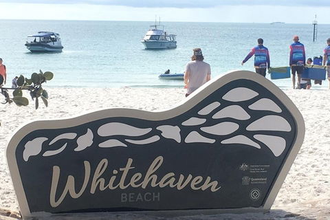 Whitehaven Beach And Hill Inlet | Awesome Beach BBQ | Family Friendly - Tourism Noosa 5