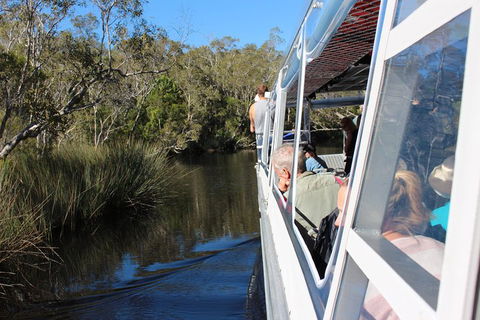 Serenity Cruise To Australia's Everglades - Tourism Noosa 2