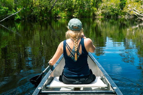 Cruise 'n' Canoe To Australia's Everglades - Tourism Noosa 0