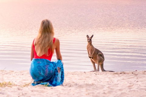 Cruise 'n' Canoe To Australia's Everglades - Tourism Noosa 5