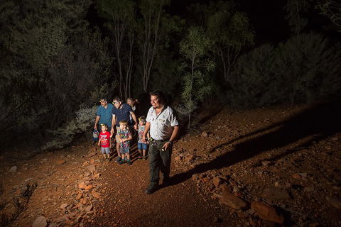 Alice Springs Desert Park Nocturnal Tour - Tourism Noosa 0