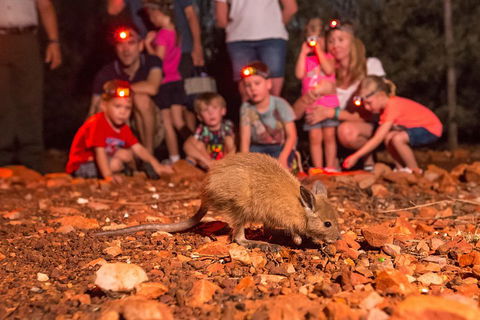 Alice Springs Desert Park Nocturnal Tour - Tourism Noosa 1