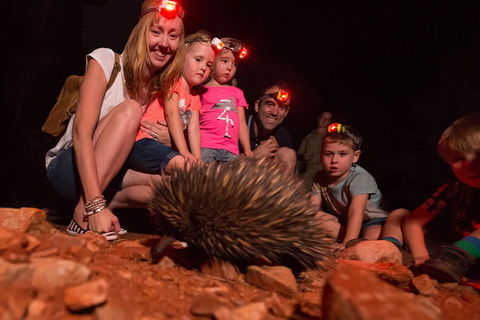 Alice Springs Desert Park Nocturnal Tour - Tourism Noosa 5