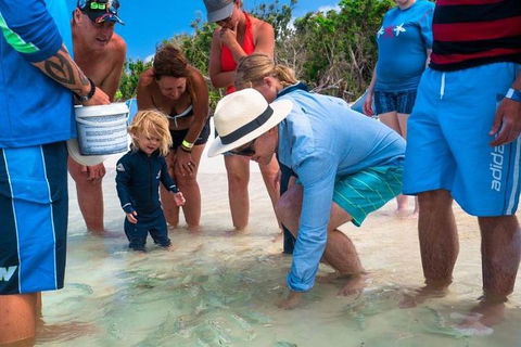 Whitehaven Beach And Hamilton Island Cruise - Tourism Noosa 1