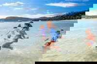 Whitehaven Beach Half-Day Cruises, Airlie Beach