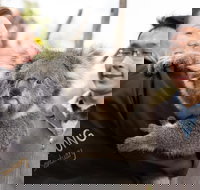 Bonorong Wildlife Park and Richmond Afternoon Tour from Hobart - Tourism Noosa